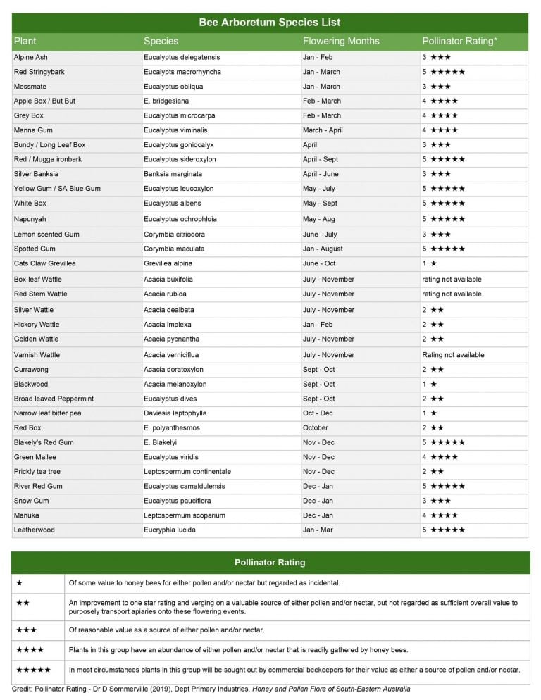 Bee Arboretum Species List