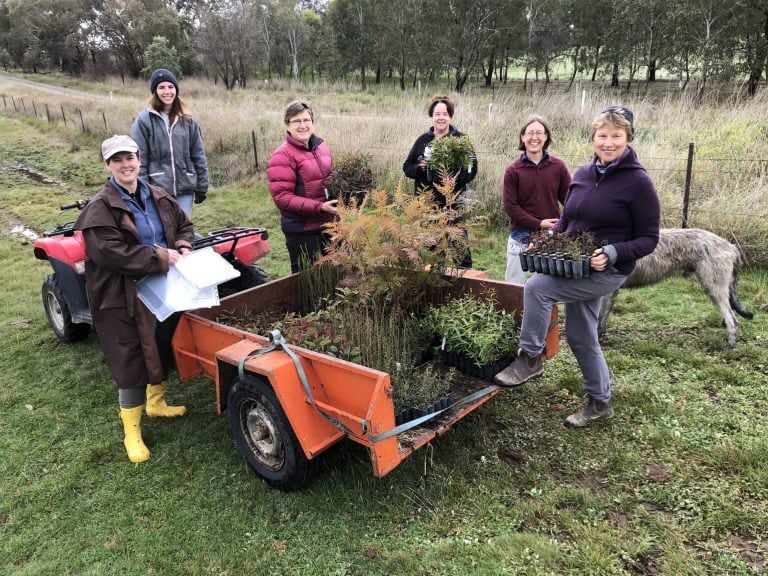 Beechworth Honey Bee Arboretum with volunteers