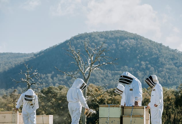 Learn-About-Beekeeping-2-Gateway