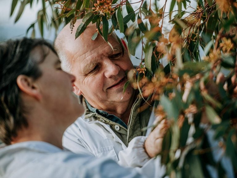 Learn-About-Us-Inspecting-Trees