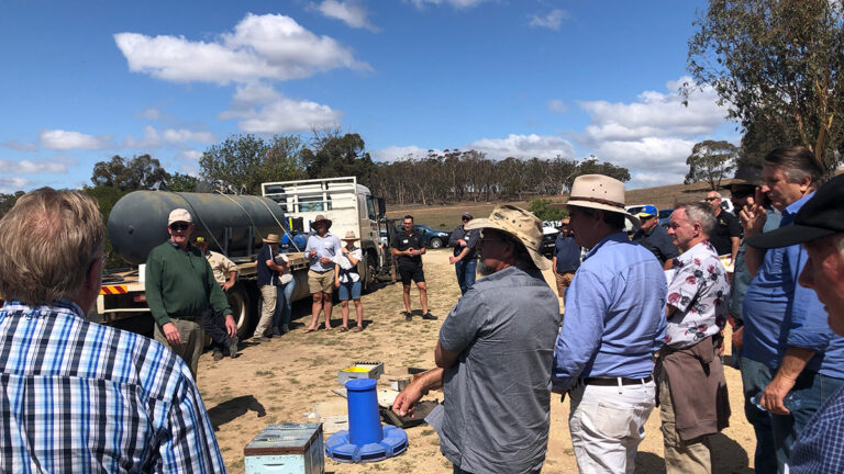 Beekeepers on farm near Canberra