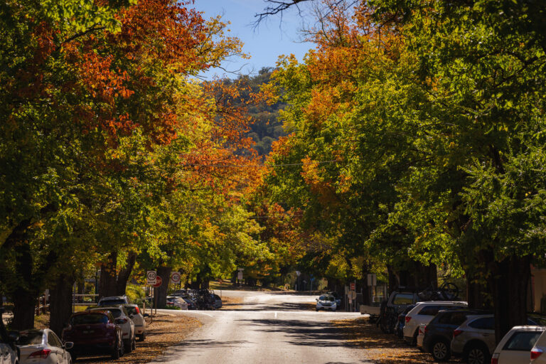 Yackandandah-April22-FB-11