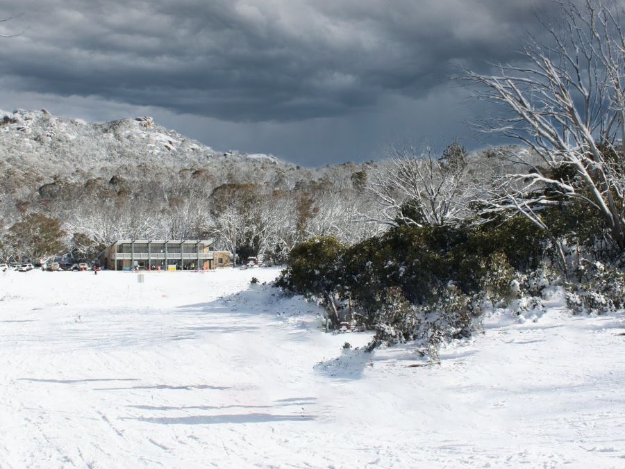 Mt Buffalo Dingo Dell Snow Play