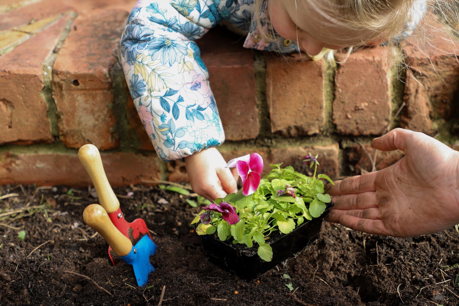 Bee Friendly Gardening