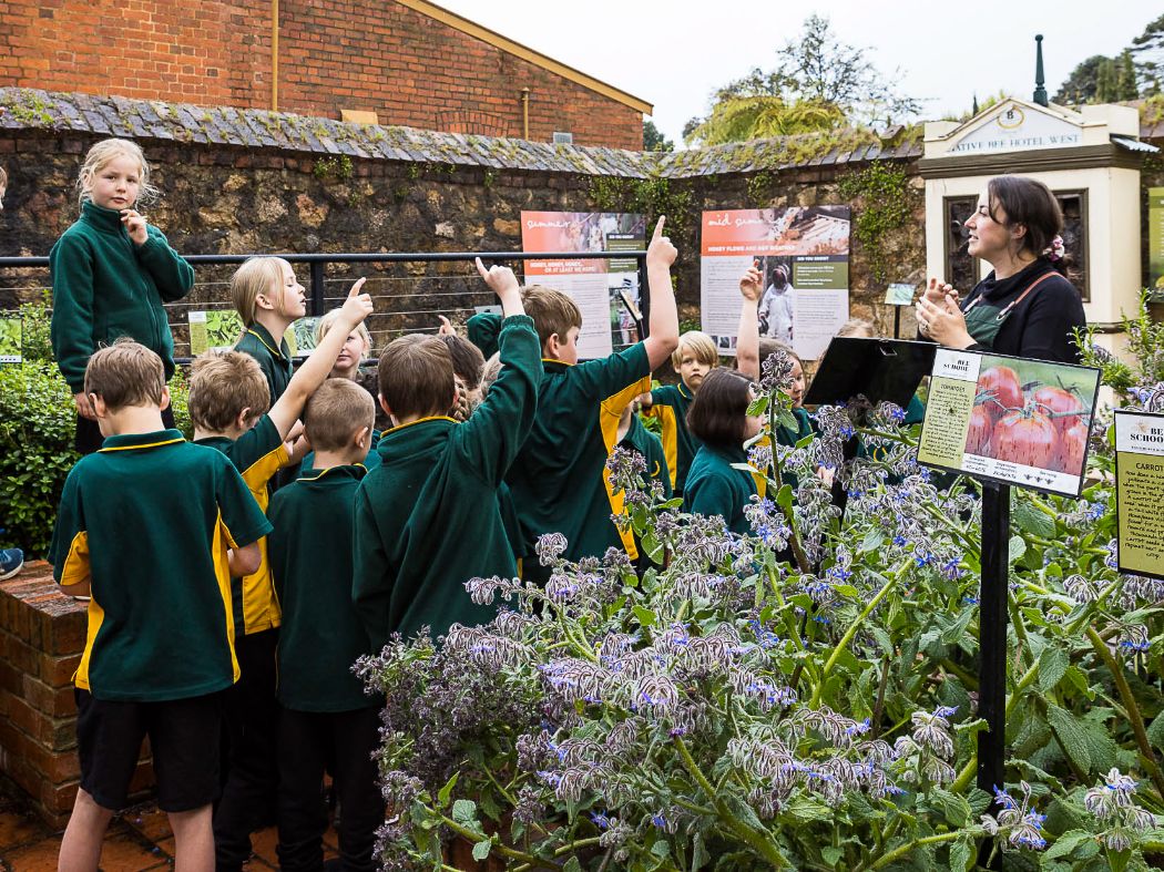 Bee School by Beechworth Honey