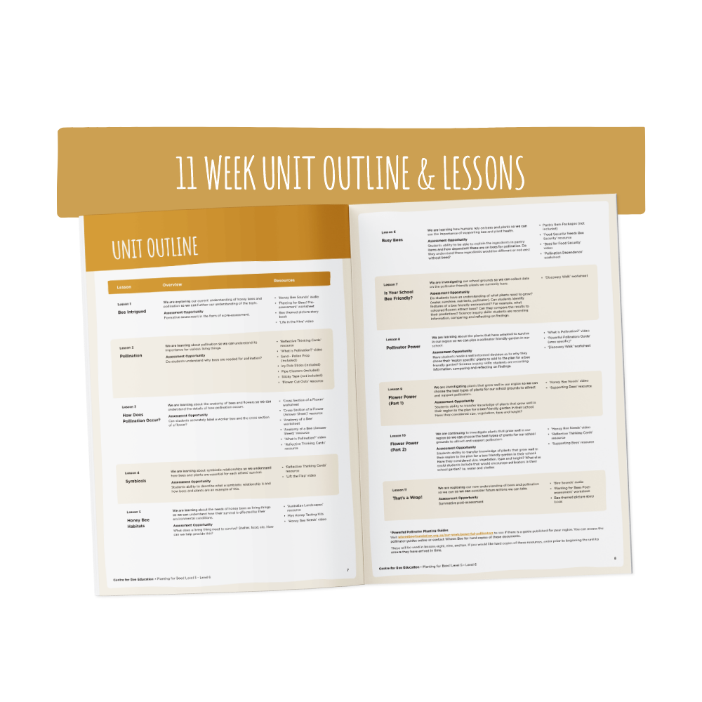 Planting for Bees Year 5 - Year 6