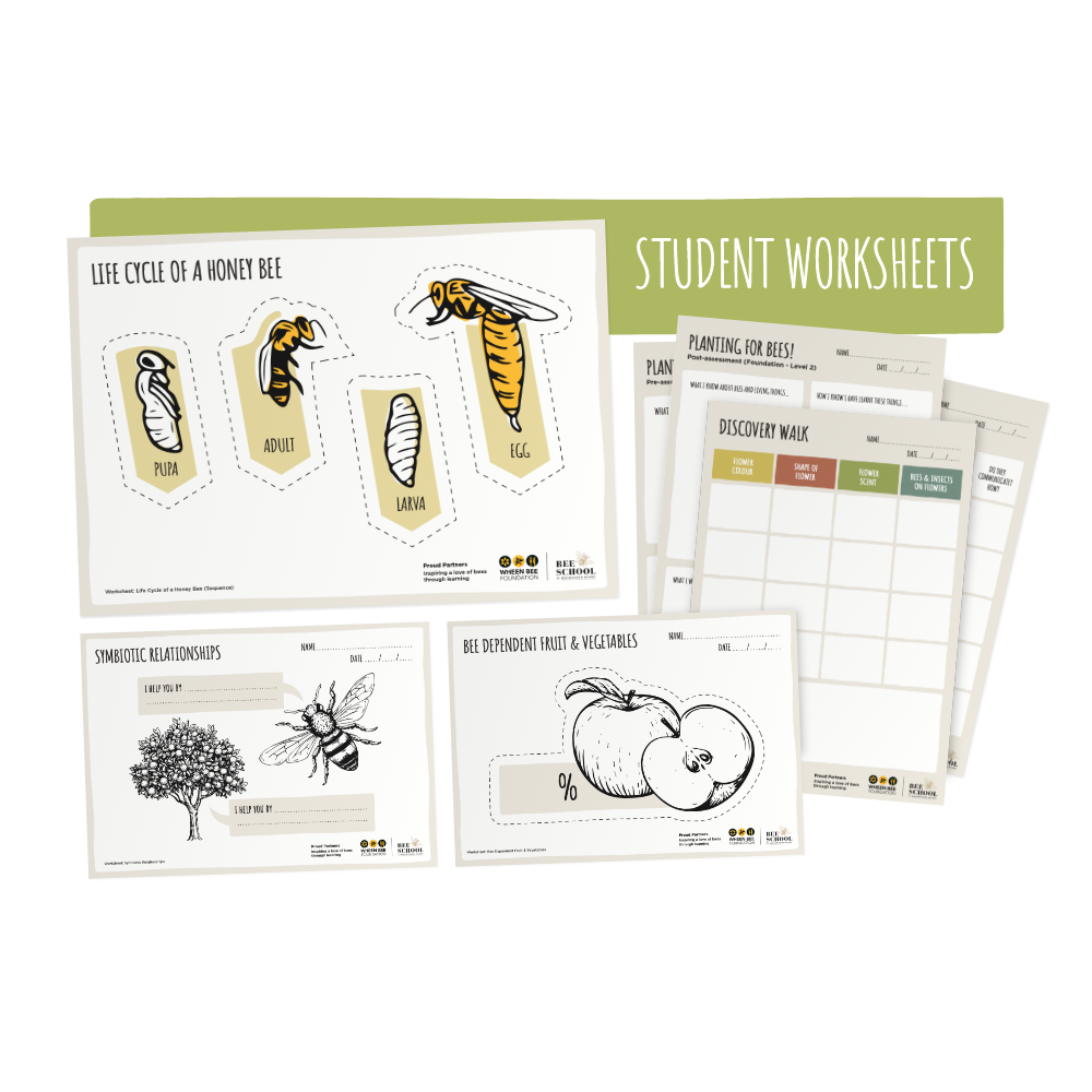 Planting for Bees Early Years - Year 2