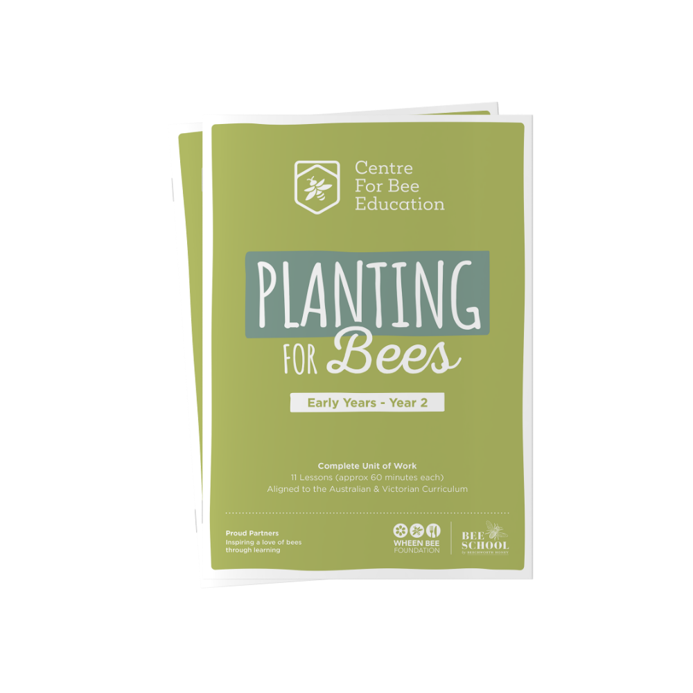 Planting for Bees Early Years - Year 2