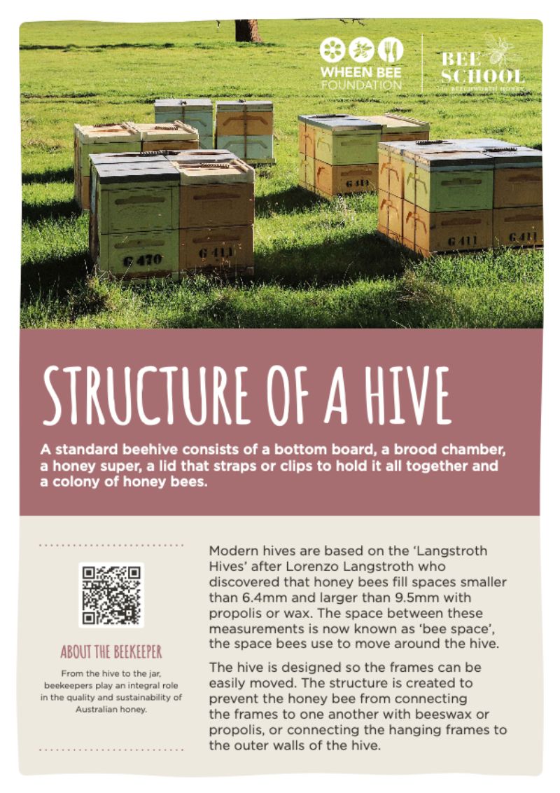 Structure of a Hive Fact Sheet