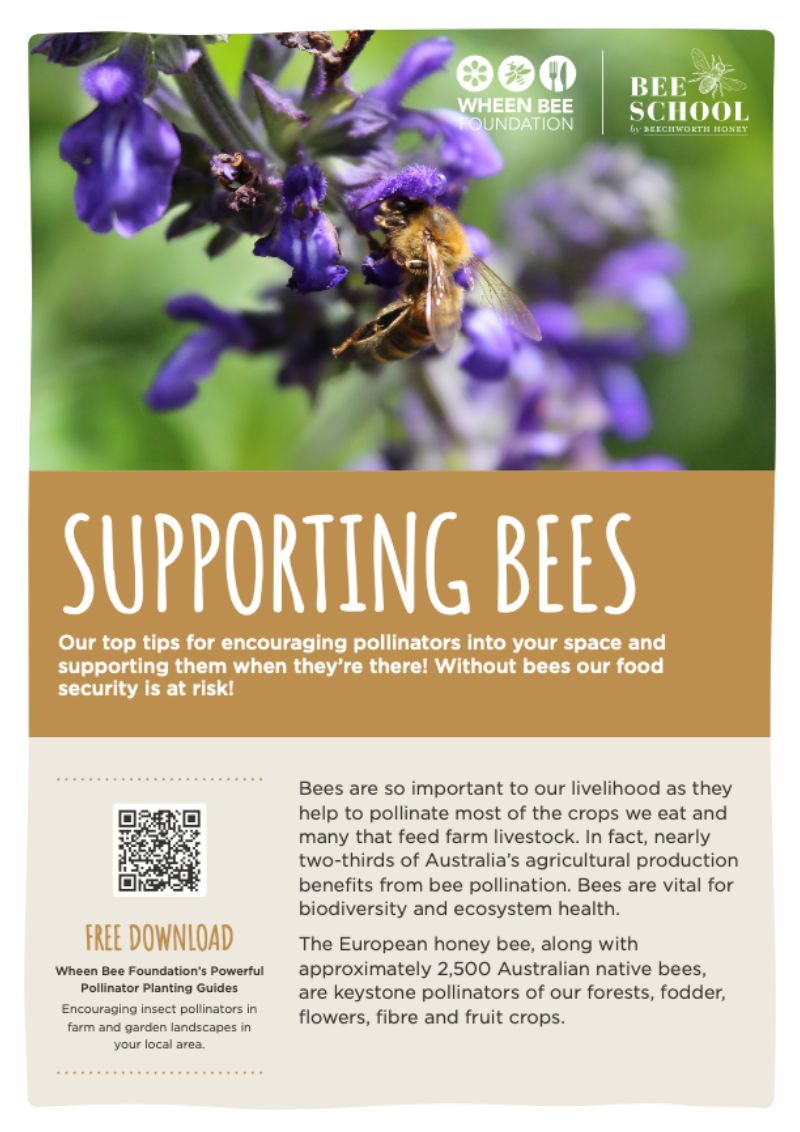 Supporting Bees Fact Sheet
