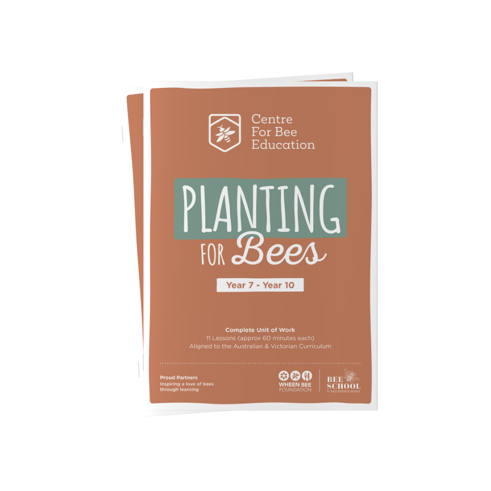 Planting for Bees Year 7 - Year 10