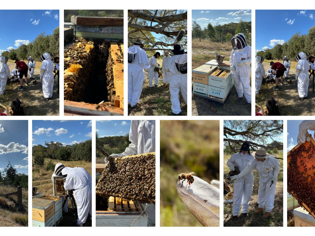 Beechworth Honey Great Australian Walks Season 2