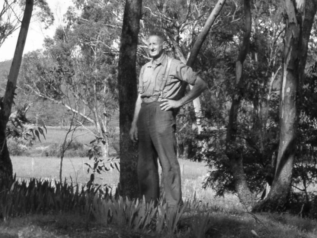 Beechworth Honey Willy Robinson