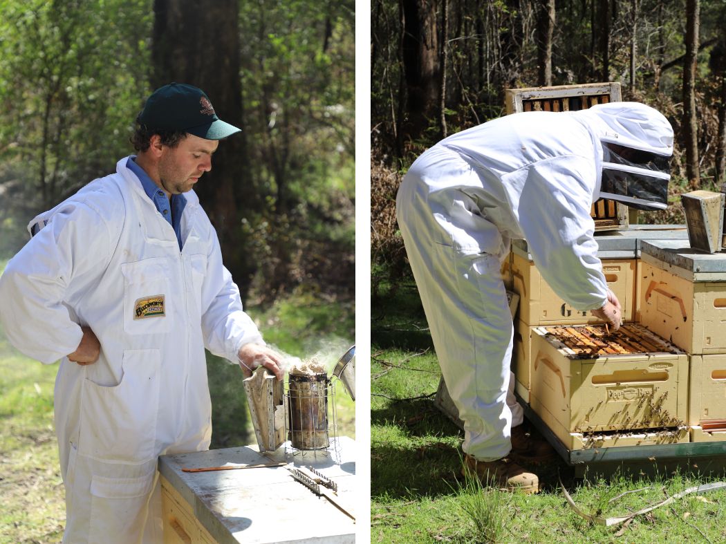 Beechworth Honey Christmas 2024