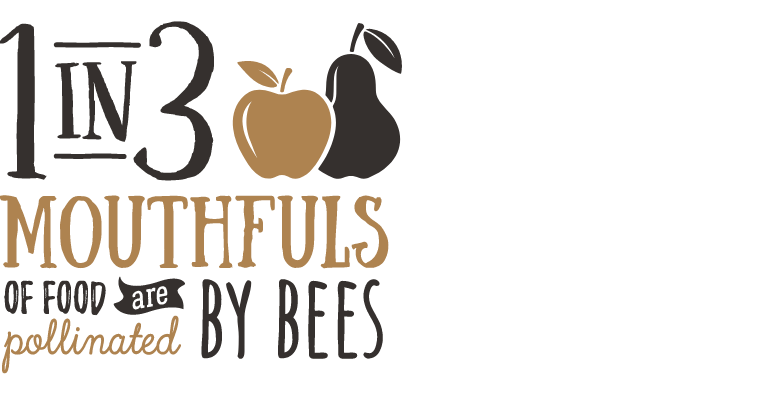 1 in 3 mouthfuls of food is pollinated by bees