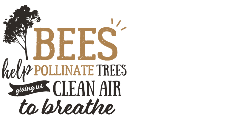 Bees help pollinate trees giving us clean air to breathe