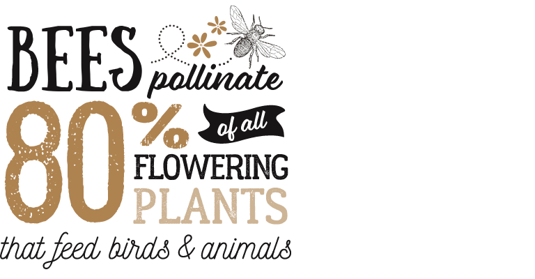 Bees pollinate 80% of all flowering plants that feed birds and animals