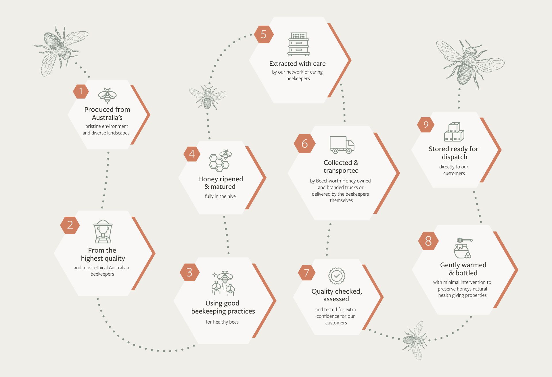 Beechworth Honey Full Traceability Diagram