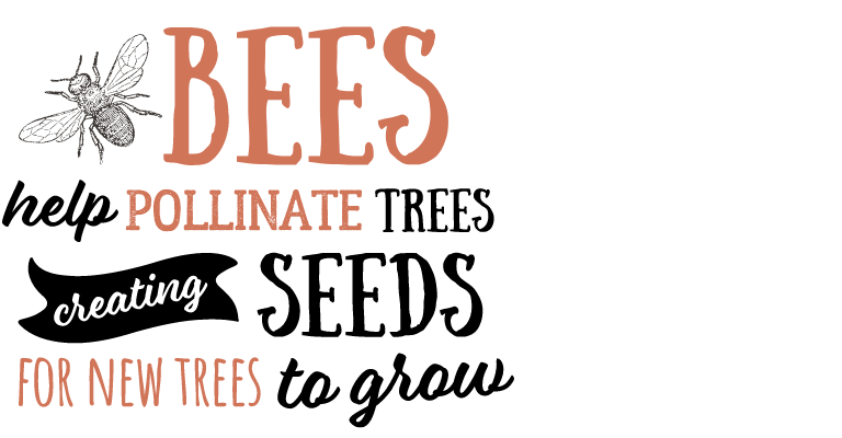 Bees help pollinate trees creating seeds for new trees to grow