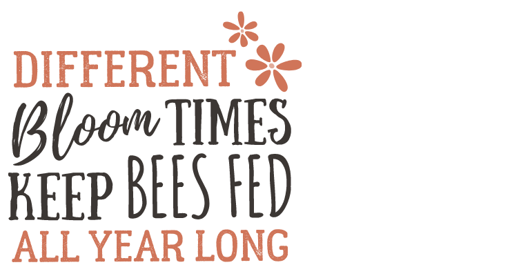 Different bloom times keep bees fed all year long