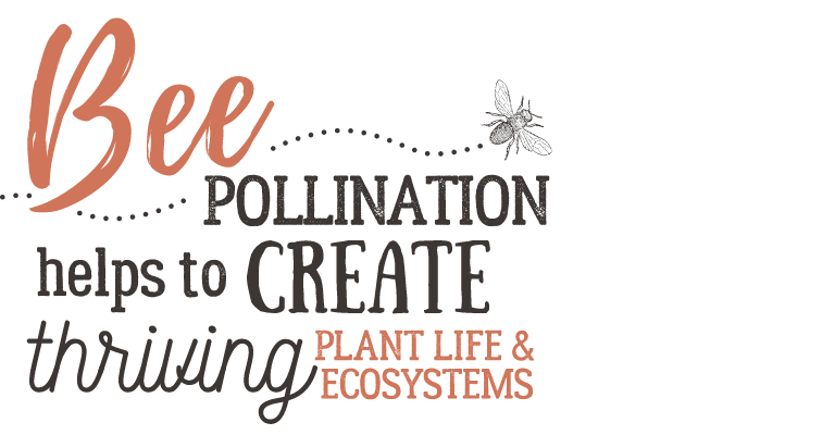 Bee pollination helps to create thriving plant life and ecosystems