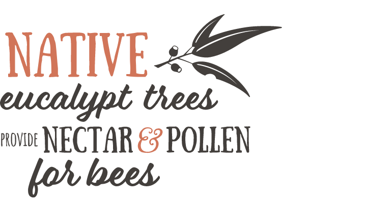FACT_T4B-Native-Trees