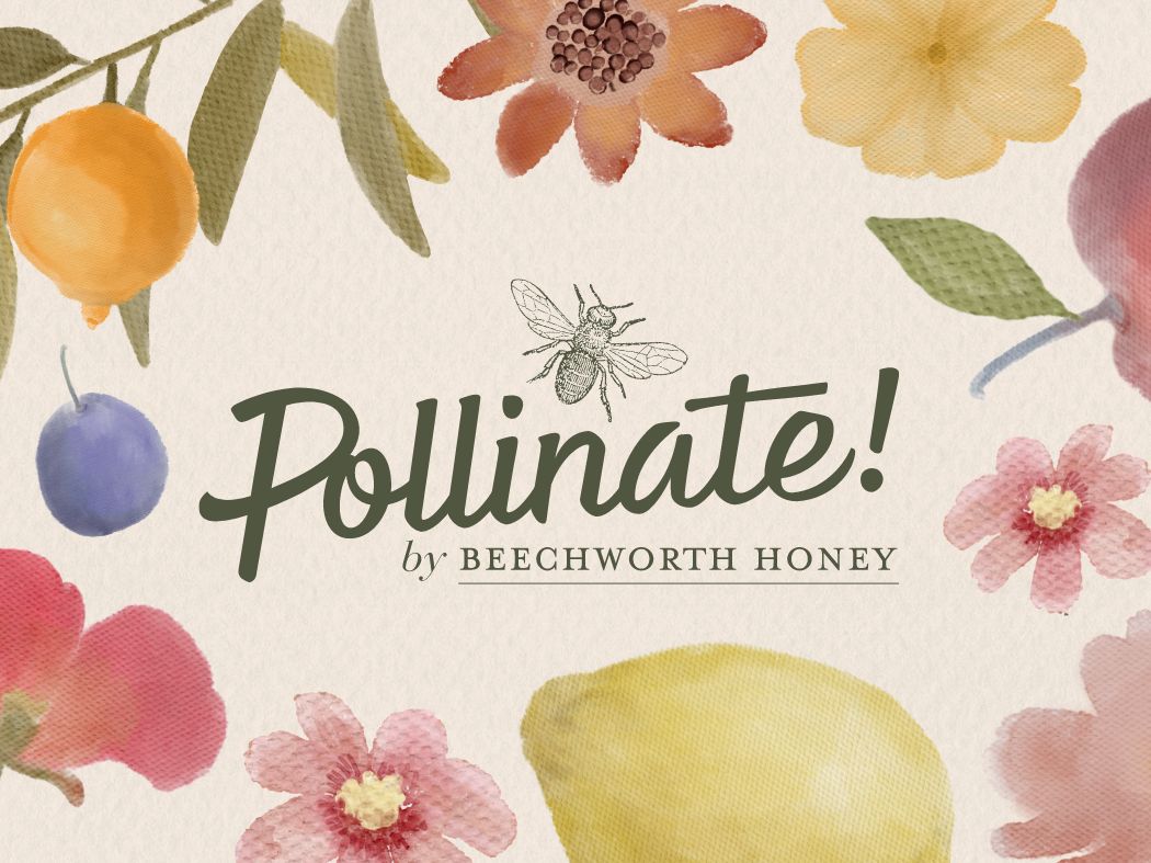 Pollinate! by Beechworth Honey
