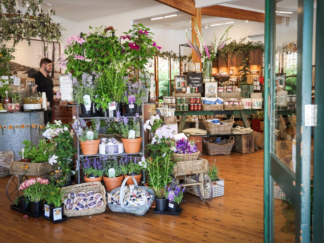 Pollinate Bee Friendly Plants