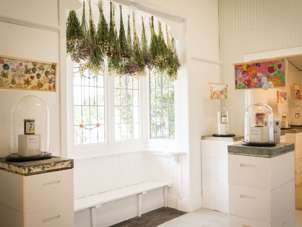 The Art of Pollination Exhibition